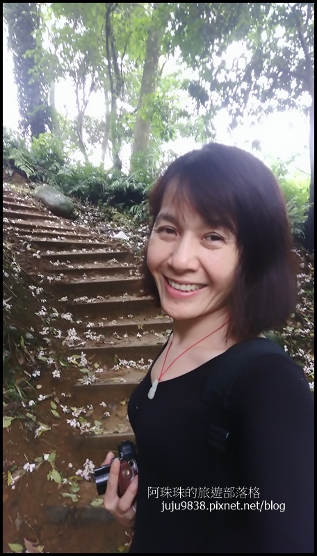 十一指古道3.jpg 十一指古道3.jpg