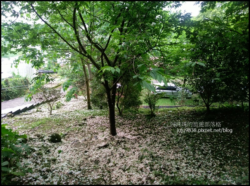 十一指古道5.jpg 十一指古道5.jpg