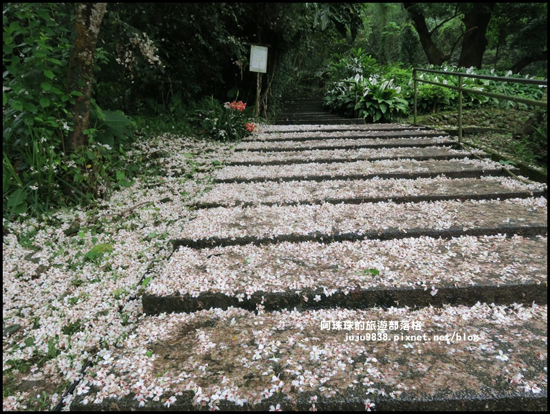 十一指古道10.JPG 十一指古道10.JPG