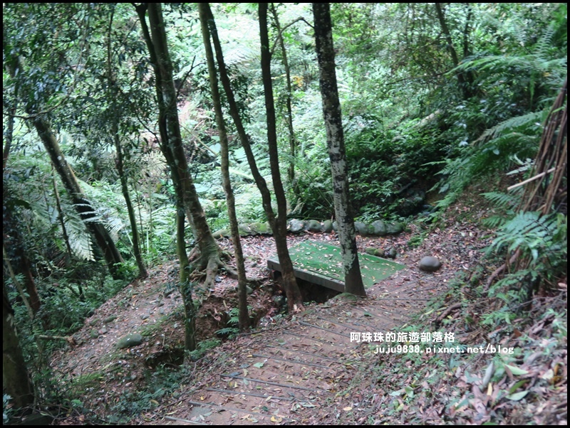 十一指古道25.JPG 十一指古道25.JPG