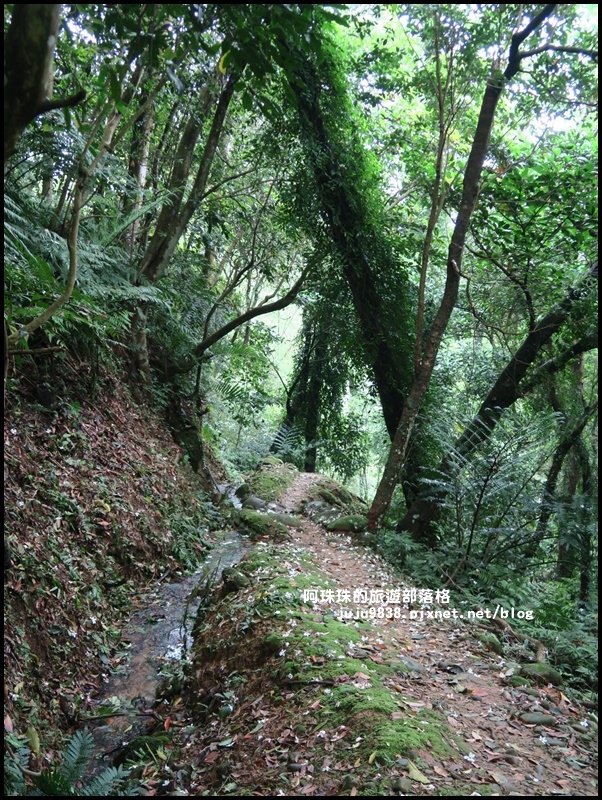 十一指古道24.JPG 十一指古道24.JPG