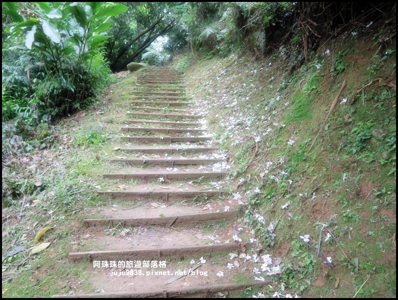 十一指古道27.JPG 十一指古道27.JPG