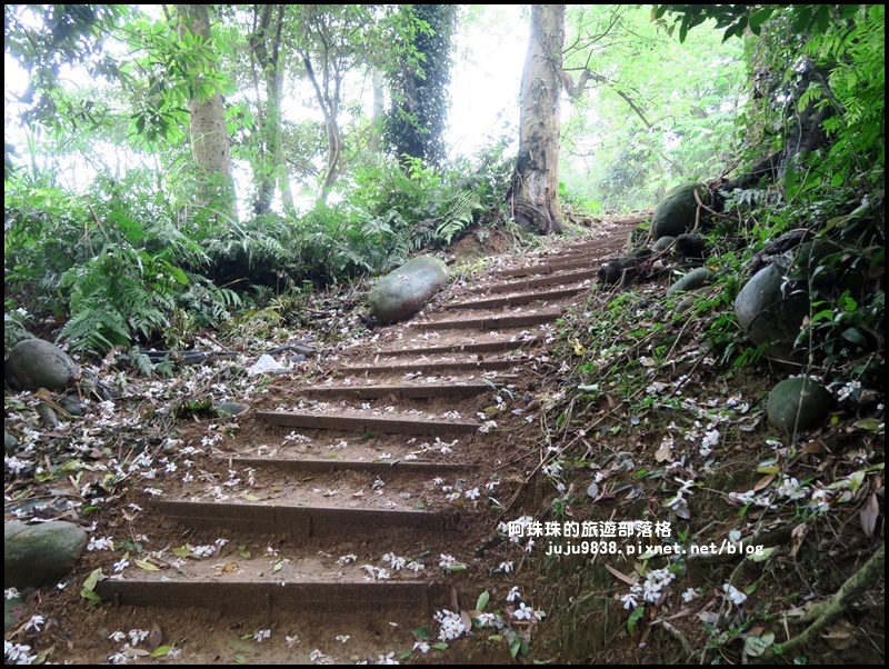 十一指古道28.JPG 十一指古道28.JPG