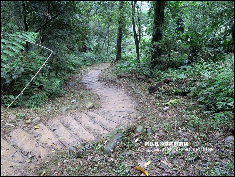 十一指古道32.JPG 十一指古道32.JPG