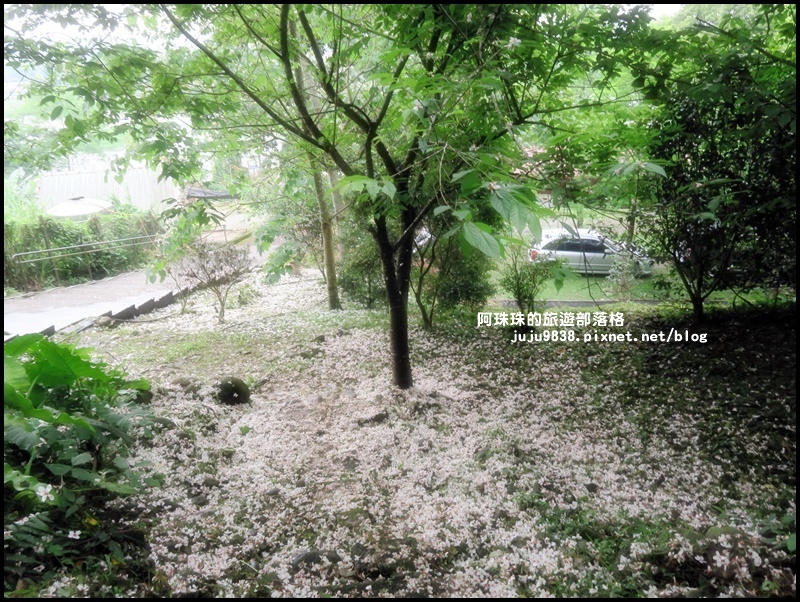 十一指古道39.JPG 十一指古道39.JPG