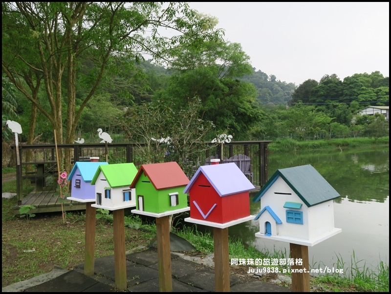 十一指古道47.JPG 十一指古道47.JPG