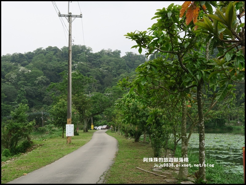 十一指古道52.JPG 十一指古道52.JPG