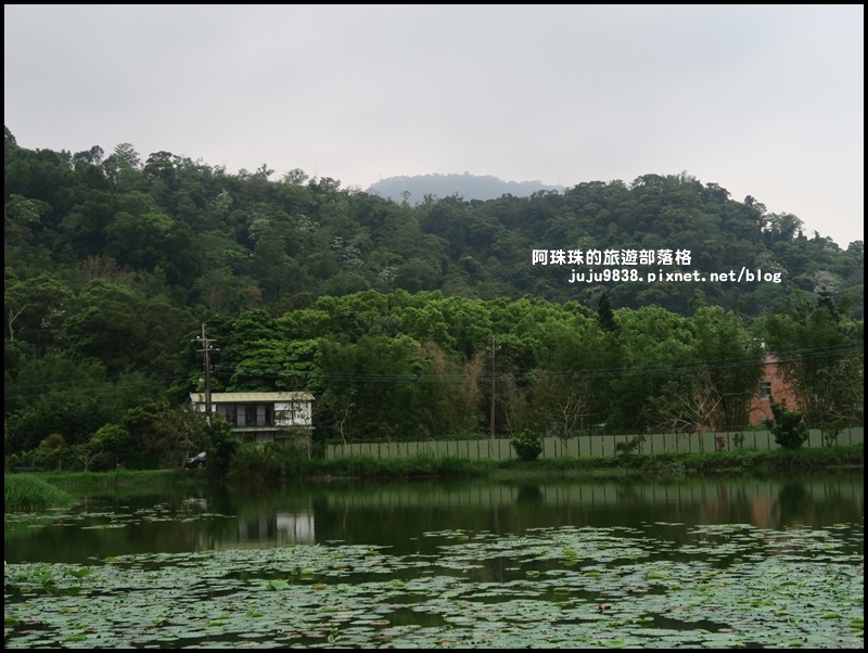 十一指古道50.JPG 十一指古道50.JPG