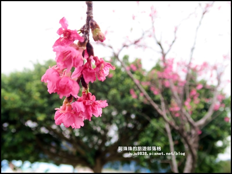 三坑老街21.JPG 三坑老街21.JPG