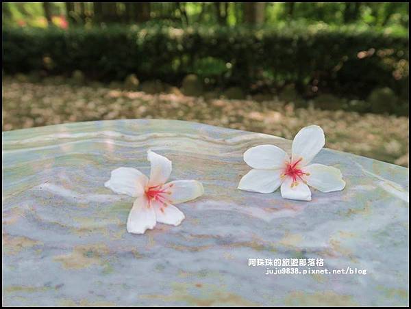 三坑老街55.JPG 三坑老街55.JPG