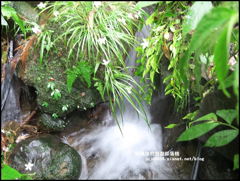 小粗坑3.JPG 小粗坑3.JPG