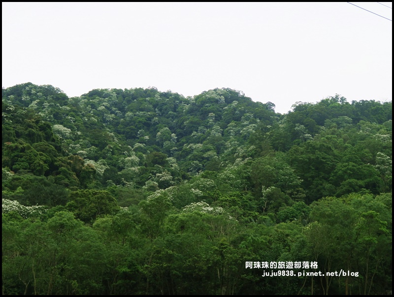 小粗坑 1.JPG 小粗坑 1.JPG