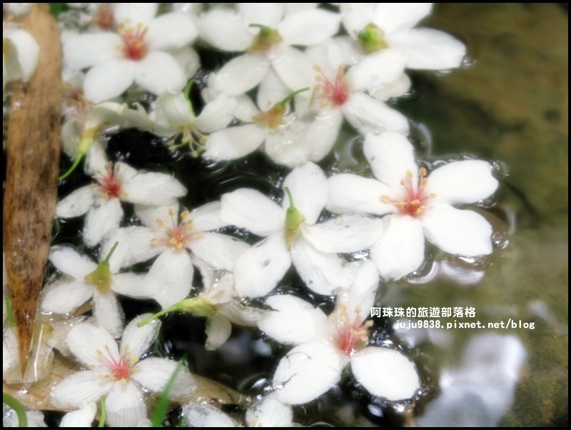 小粗坑7.JPG 小粗坑7.JPG