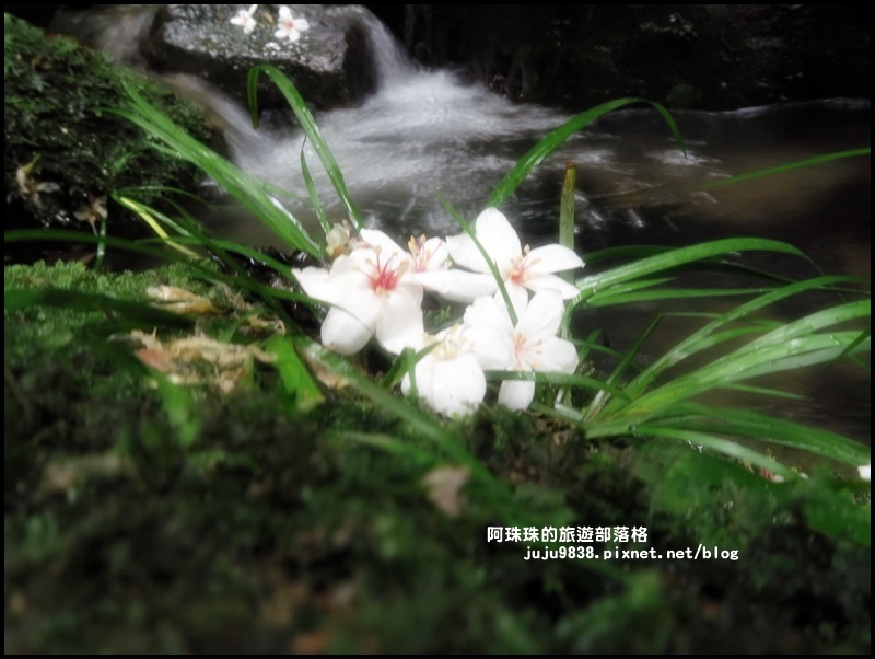 小粗坑11.JPG 小粗坑11.JPG