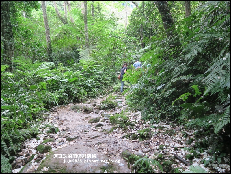 小粗坑16.JPG 小粗坑16.JPG