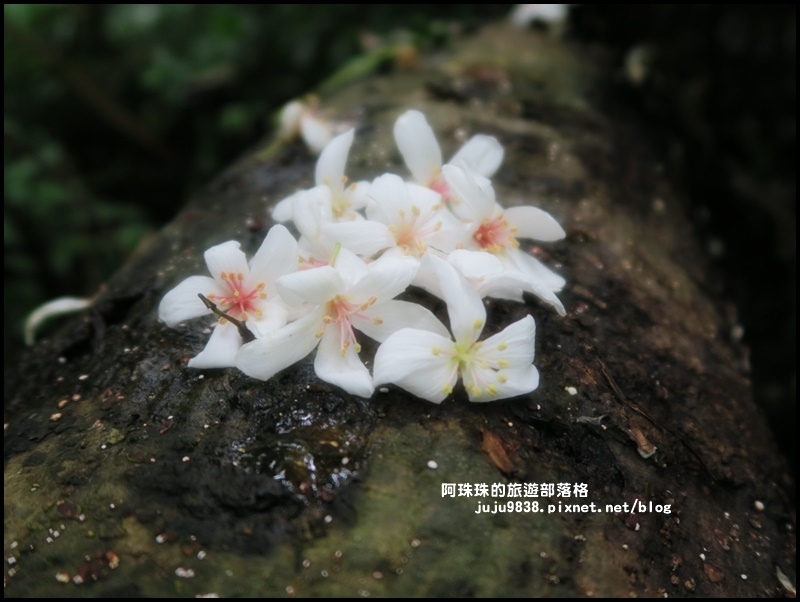 小粗坑18.JPG 小粗坑18.JPG