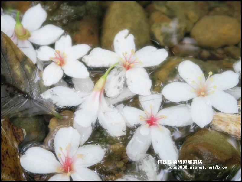 小粗坑22.JPG 小粗坑22.JPG