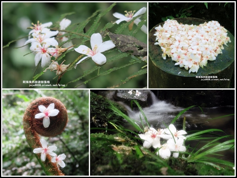 小粗坑29.jpg 小粗坑29.jpg