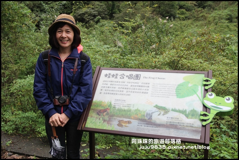 新寮瀑布6.JPG 新寮瀑布6.JPG