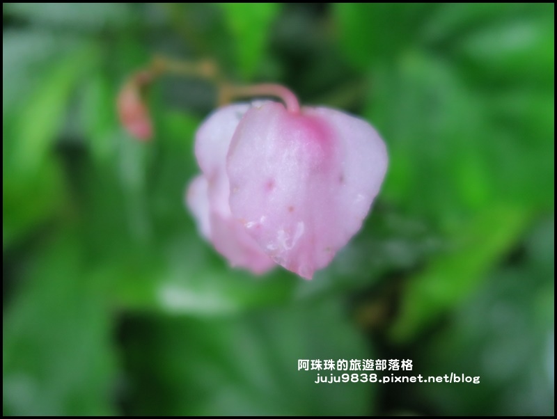 新寮瀑布28.JPG 新寮瀑布28.JPG