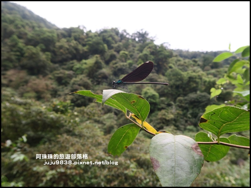 新寮瀑布33.JPG 新寮瀑布33.JPG