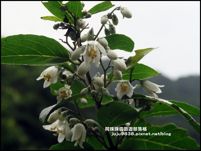 新寮瀑布45.JPG 新寮瀑布45.JPG