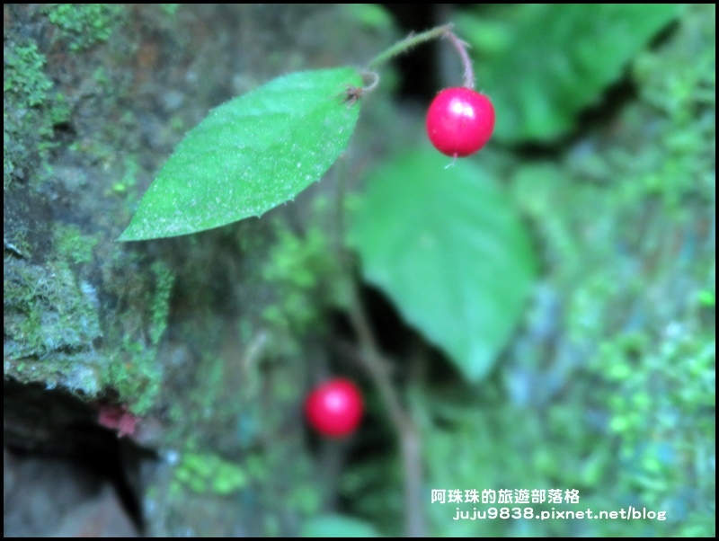 新寮瀑布44.JPG 新寮瀑布44.JPG