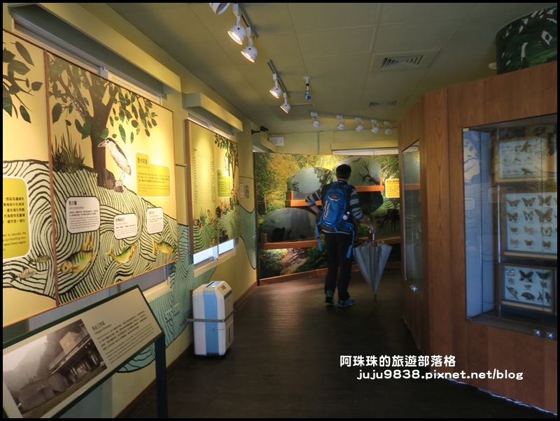 新寮瀑布50.JPG 新寮瀑布50.JPG