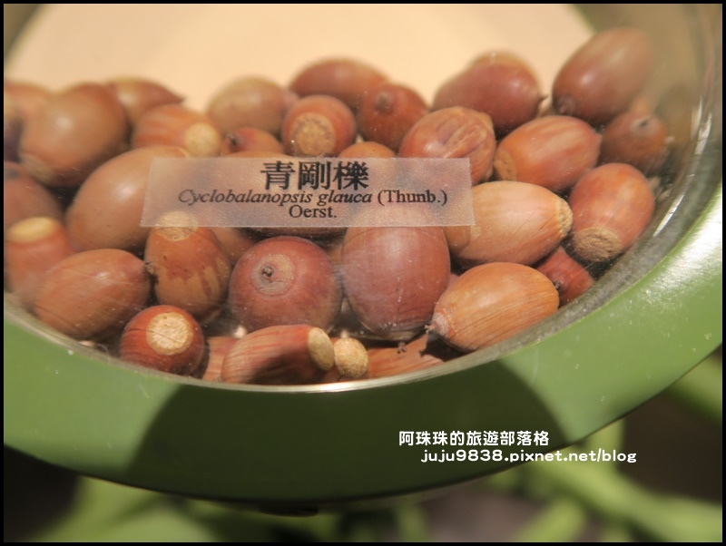 新寮瀑布51.JPG 新寮瀑布51.JPG