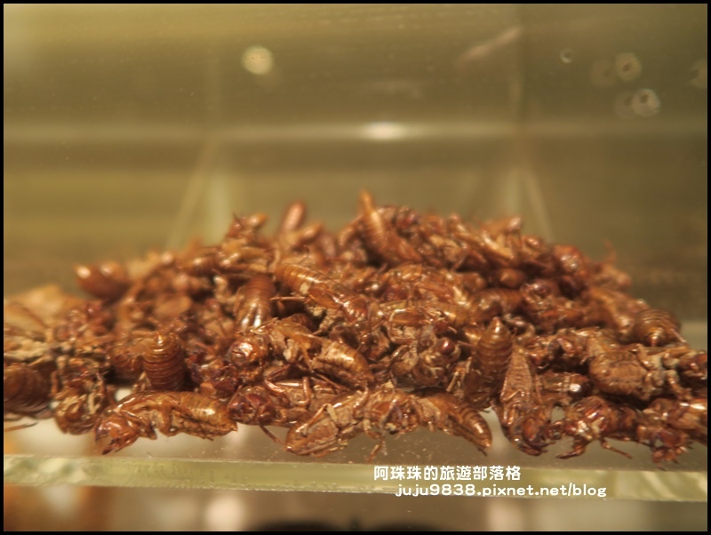 新寮瀑布53.JPG 新寮瀑布53.JPG