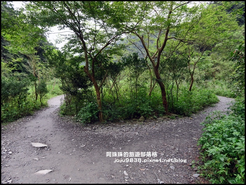 新寮瀑布31 新寮瀑布31