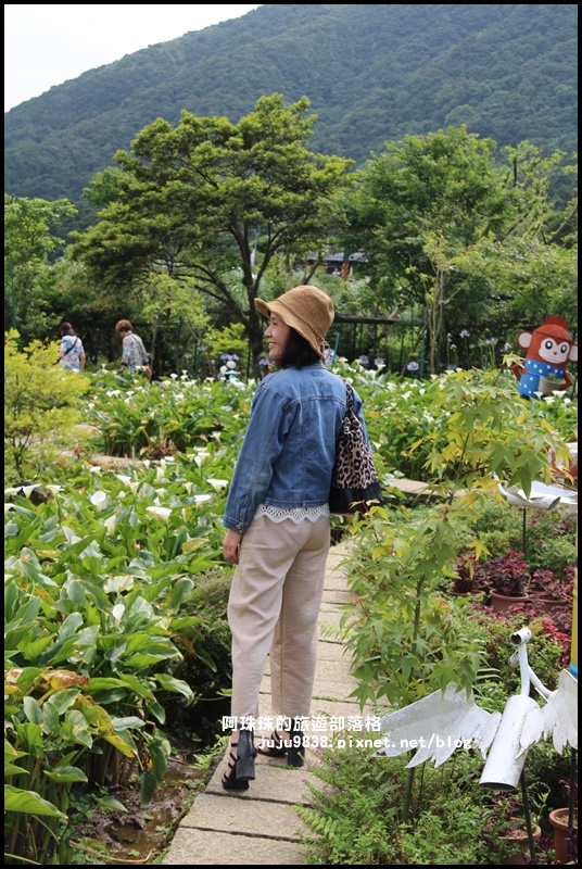 竹子湖3.JPG 竹子湖3.JPG