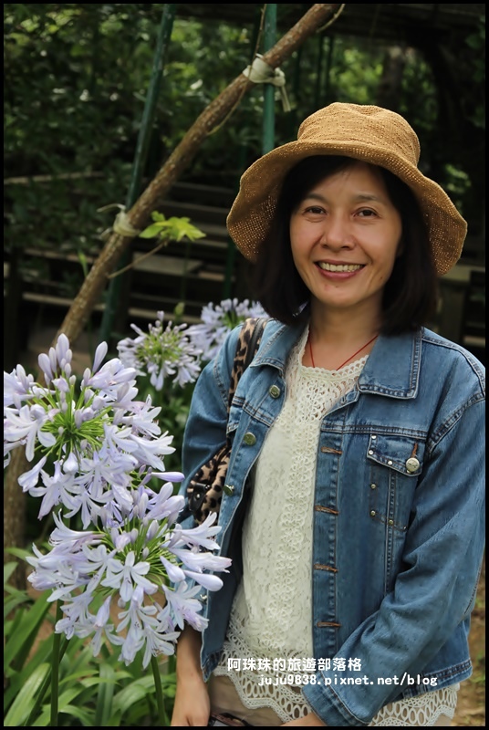 竹子湖5.JPG 竹子湖5.JPG