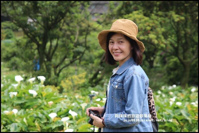 竹子湖4.JPG 竹子湖4.JPG