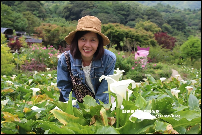 竹子湖7.JPG 竹子湖7.JPG