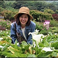 竹子湖7.JPG