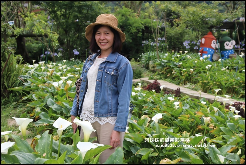 竹子湖8.JPG 竹子湖8.JPG