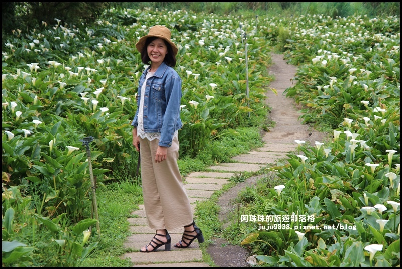 竹子湖11.JPG 竹子湖11.JPG