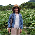 竹子湖12.JPG