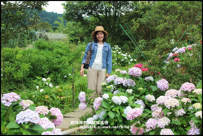 竹子湖15.JPG 竹子湖15.JPG