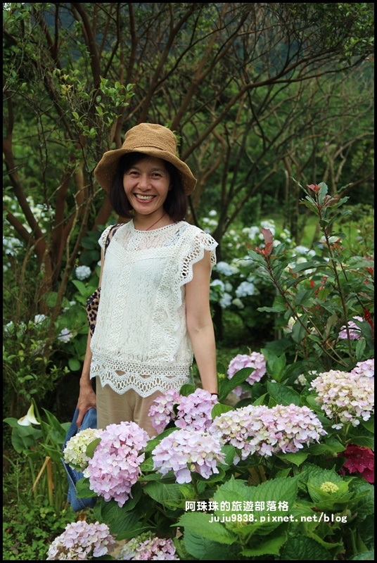 竹子湖17.JPG 竹子湖17.JPG