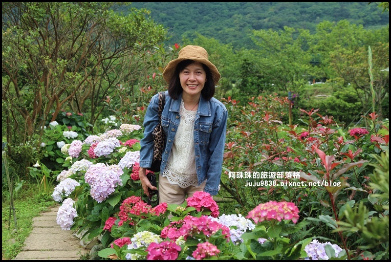 竹子湖16.JPG 竹子湖16.JPG