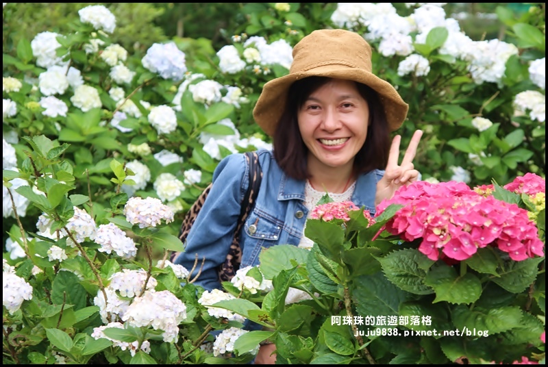 竹子湖18.JPG 竹子湖18.JPG