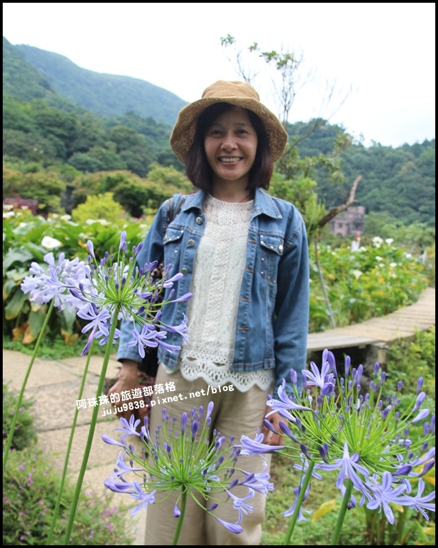 竹子湖21.JPG 竹子湖21.JPG