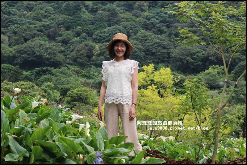 竹子湖22.JPG 竹子湖22.JPG