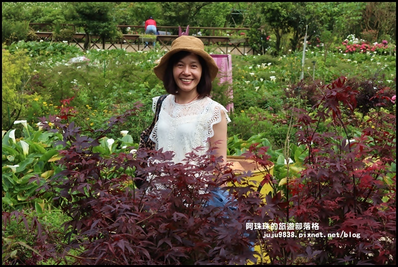 竹子湖25.JPG 竹子湖25.JPG