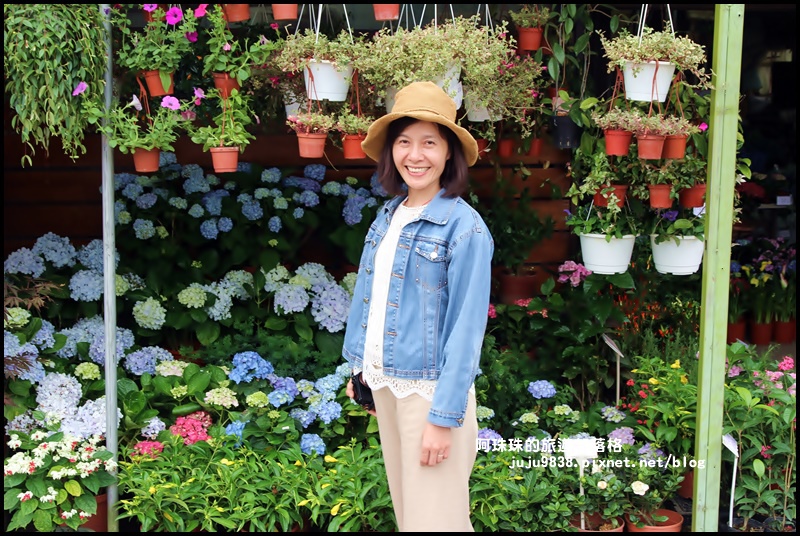 竹子湖28.JPG 竹子湖28.JPG