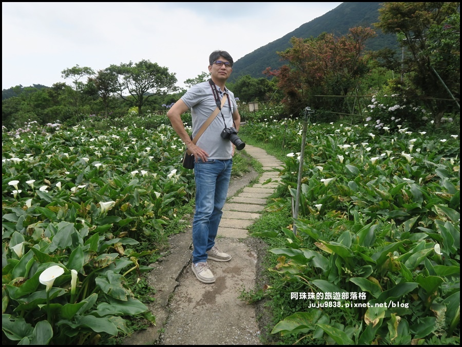 竹子湖36.JPG 竹子湖36.JPG