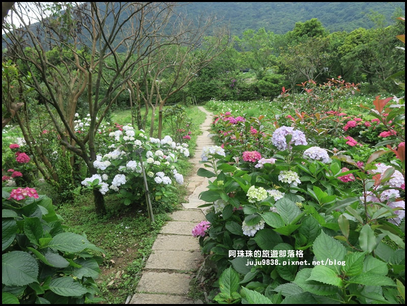 竹子湖44.JPG 竹子湖44.JPG