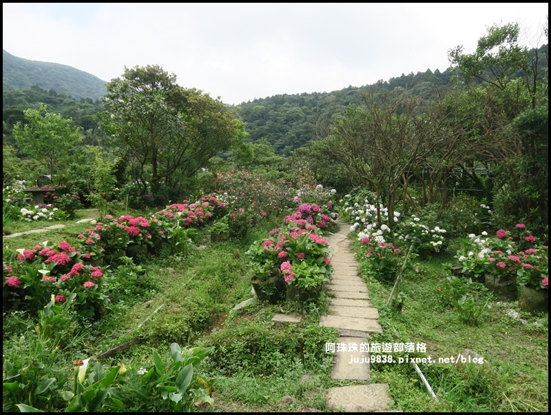 竹子湖45.JPG 竹子湖45.JPG